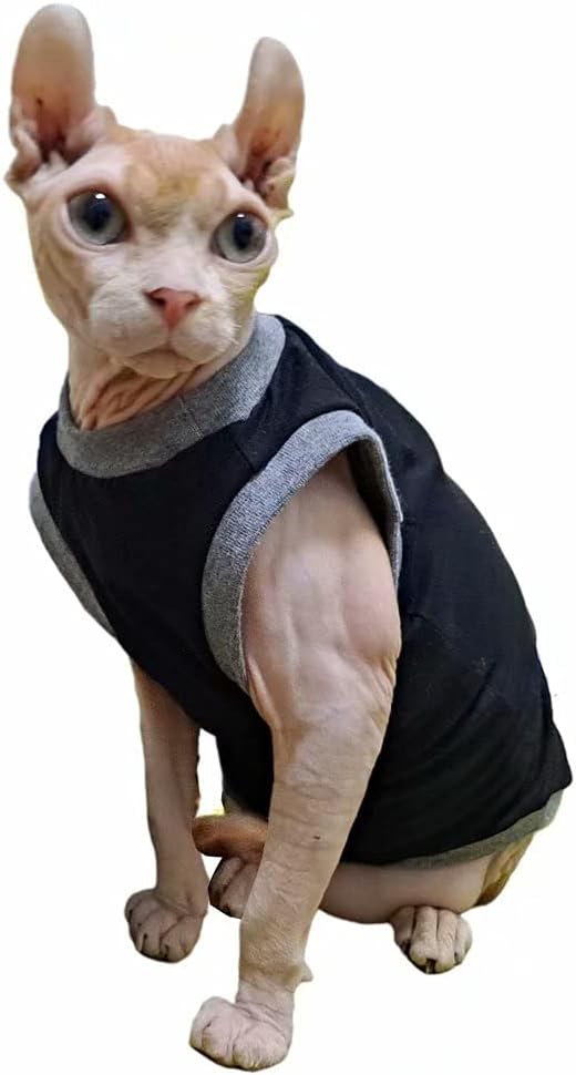 Jitomir shaxsiy porno Porno fohishalar yomon